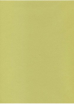 Véritable Edo Kosome vert (53x78)