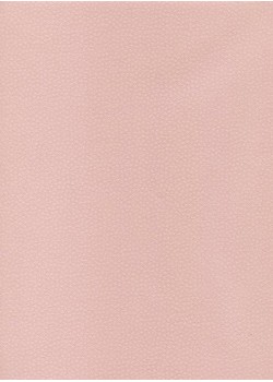 Véritable Edo Kosome rose (53x78)