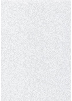 Papier imitation Chevreau blanc embossé (70x100)