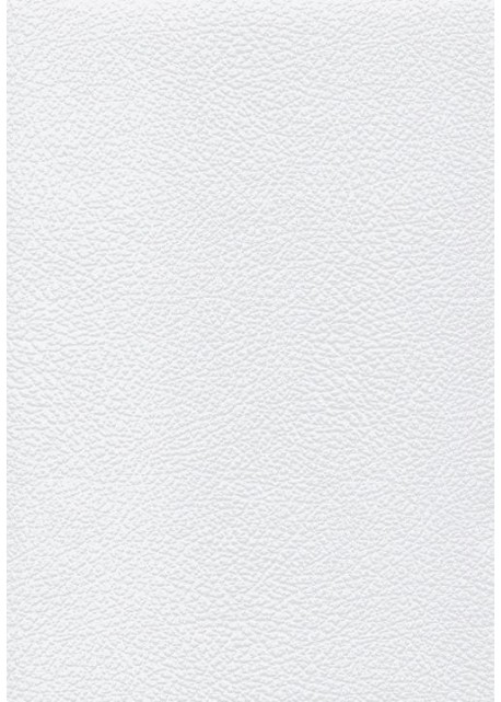 Papier imitation Chevreau blanc embossé (70x100)