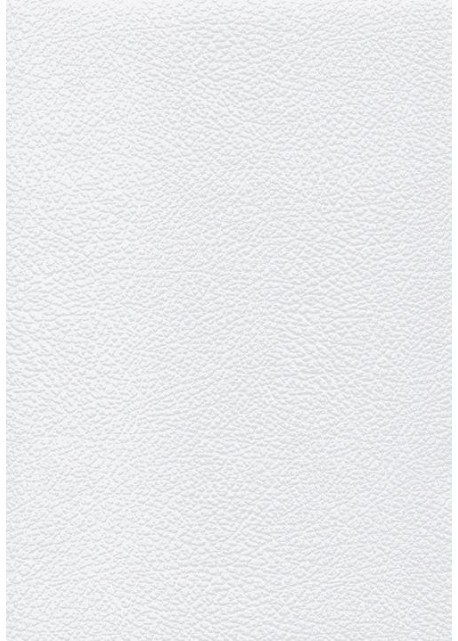 Papier imitation Chevreau blanc embossé (70x100)