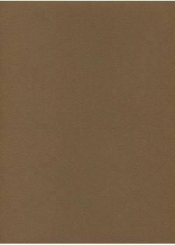 Mi-teintes n°501 Marron foncé (50x65)