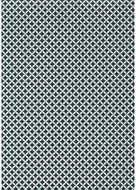 Perceval noir et blanc (50x70)