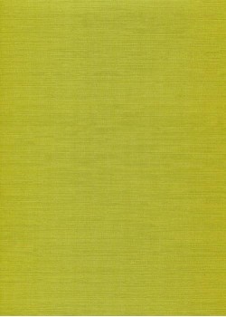 Simili cuir "Tussah" vert anis (70x100)