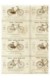 Les bicyclettes anciennes "REXOR" (70x100)