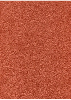 Véritable Momi paprika (54x78)