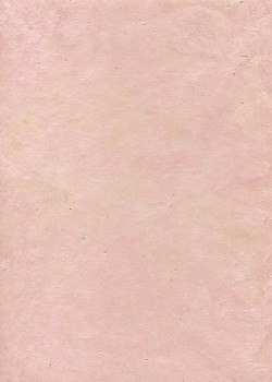 Lokta rose pastel (50x75)