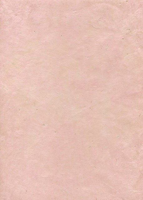 Lokta rose pastel (50x75)