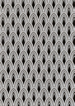 Les plumes de paon noires et blanches (50x70)