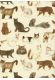 Races de chats (70x100)