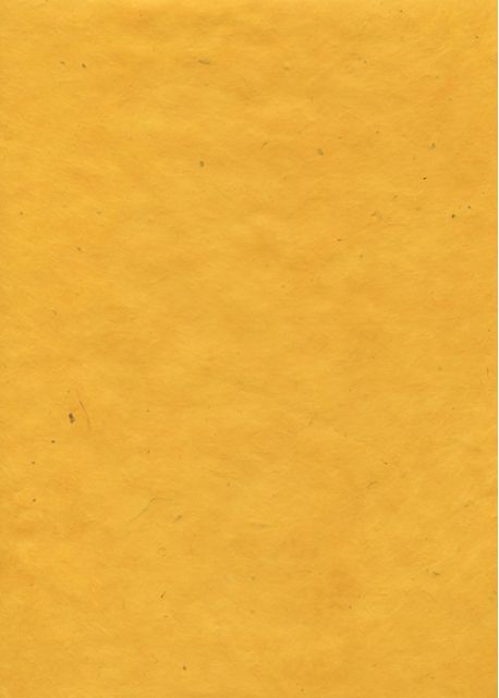 Lokta jaune (50x75)
