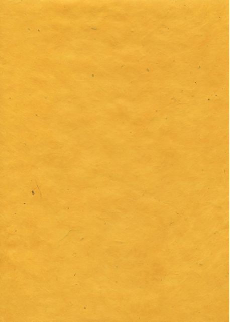 Lokta jaune (50x75)