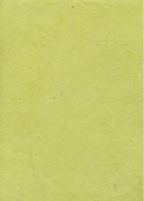 Lokta vert tendre (50x75)