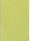 Papier lokta vert sauge (50x75)