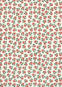 Semis de petites roses rouges (70x100)