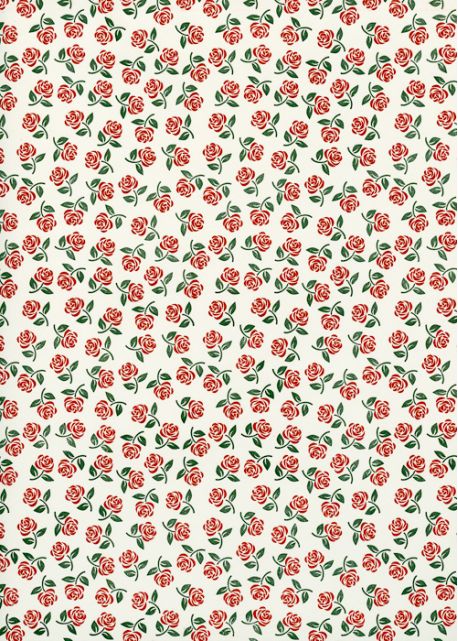 Semis de petites roses rouges (70x100)