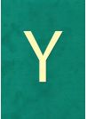 Lettre "Y" classique (H:2cm L:1.5cm)