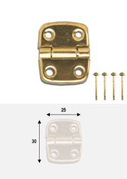 Charnières métal doré (30x25mm) + clous de fixation