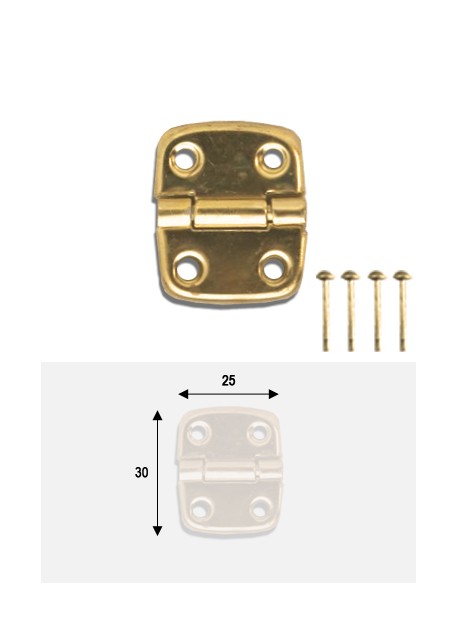 Charnières métal doré (30x25mm) + clous de fixation