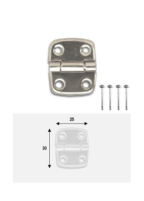 Charnières métal argent (30x25mm) + clous de fixation