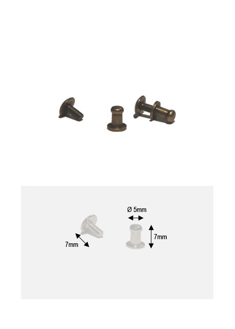 Boutons bronze PM + vis (Ø5mm H:7mm)