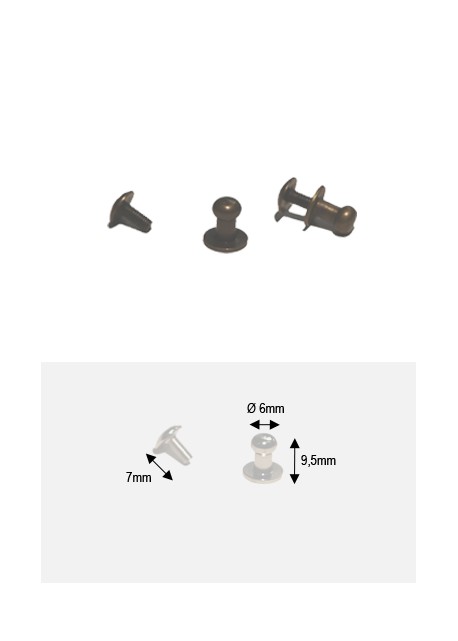 Boutons bronze MM + vis (Ø6mm H:9.5mm)