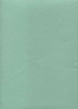 Skivertex "Mini Galuchat" menthe