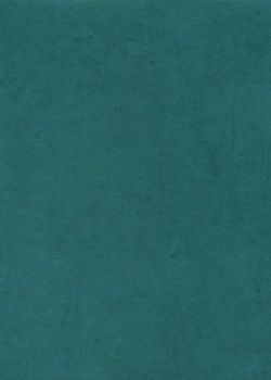 Lokta bleu pétrole (50x75)