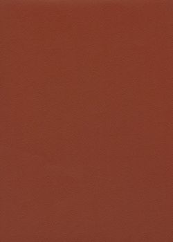 Skip uni paprika n°14 (65x100)