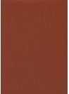 Skip grain fin paprika n°14 (65x100)