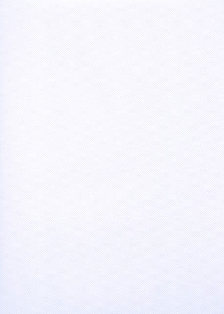 Skip grain fin blanc n°05 (65x100)