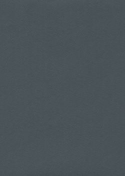 Skip grain fin gris n°15 (65x100)