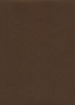 Skip grain fin nacré bronze n°11 (65x100)