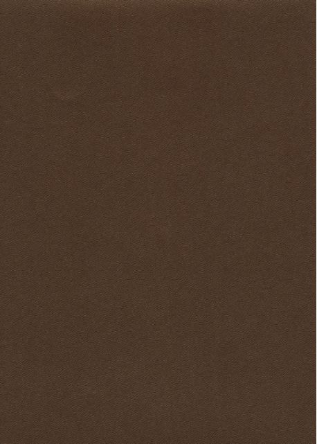 Skip grain fin nacré bronze n°11 (65x100)