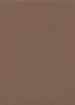 Skip grain fin café n°17 (65x100)