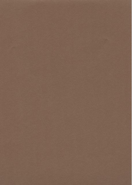 Skip grain fin café n°17 (65x100)
