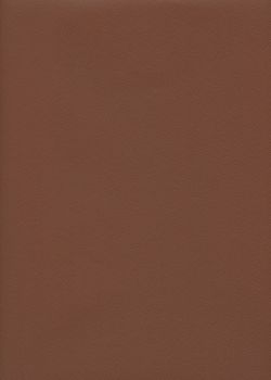Skip grain fin marron clair n°04 (65x100)