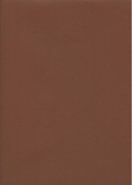 Skip grain fin marron clair n°04 (65x100)