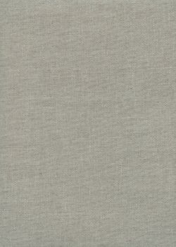 "Toile enduite" chinée lin (50x100)