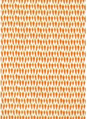 Les petites carottes (50x70)