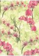 Orchidée rose (70x100)