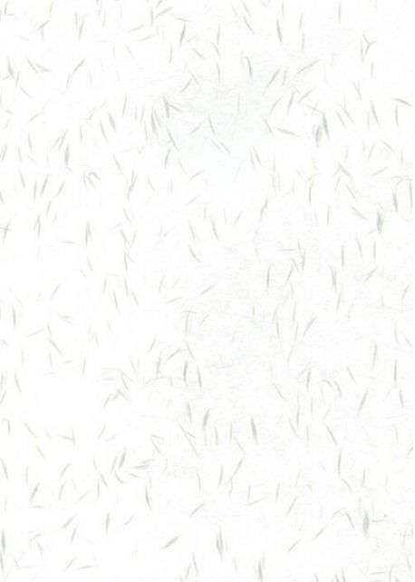 Véritable Tairei blanc flammé gris argent (78x53)