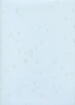Véritable Tairei bleu flammé gris argent (78x53)