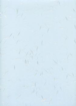 Véritable Tairei bleu flammé gris argent (78x53)