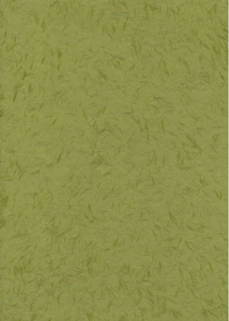 Véritable Obonai vert (78x53)