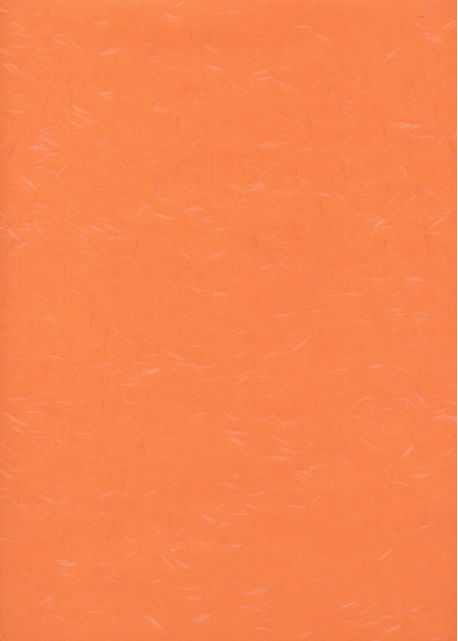 Véritable Tairei orange flammé argent (78x53)