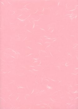 Véritable Tairei rose flammé blanc (63x47)