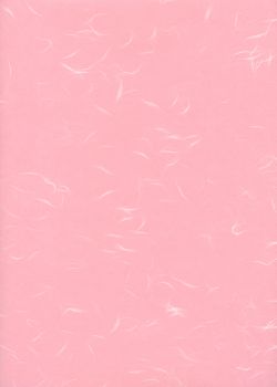 Véritable Tairei rose flammé blanc (63x47)