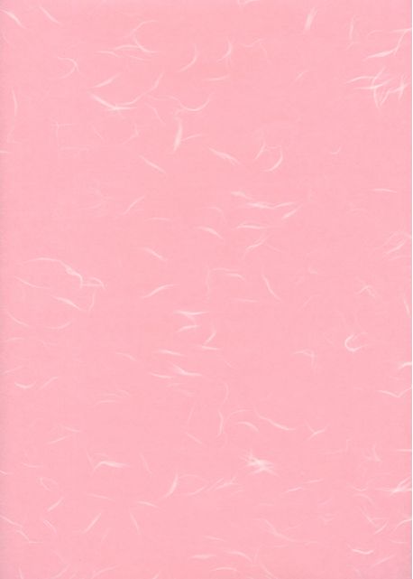 Véritable Tairei rose flammé blanc (63x47)