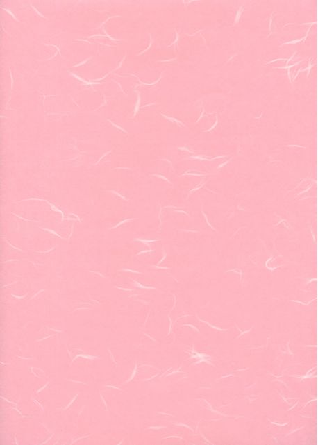 Véritable Tairei rose flammé blanc (63x47)